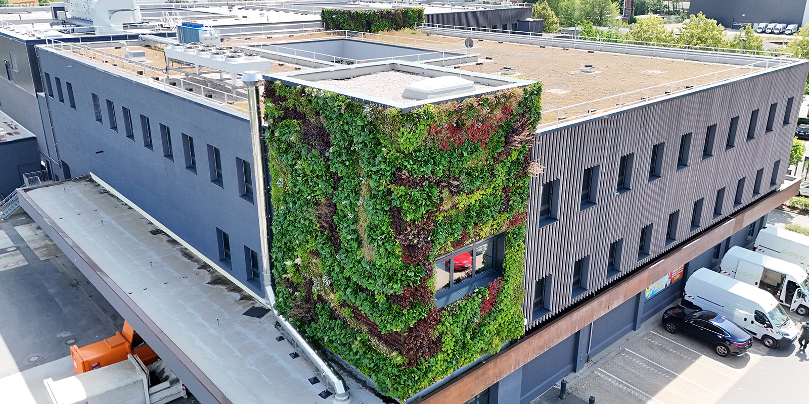 Supermarkt Davenstedter Straße, Hannover